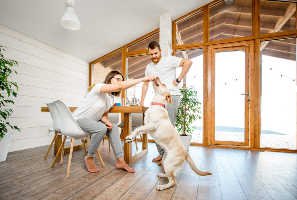 Living in Rita Ranch: Why Tucson Families Love This Welcoming Neighborhood